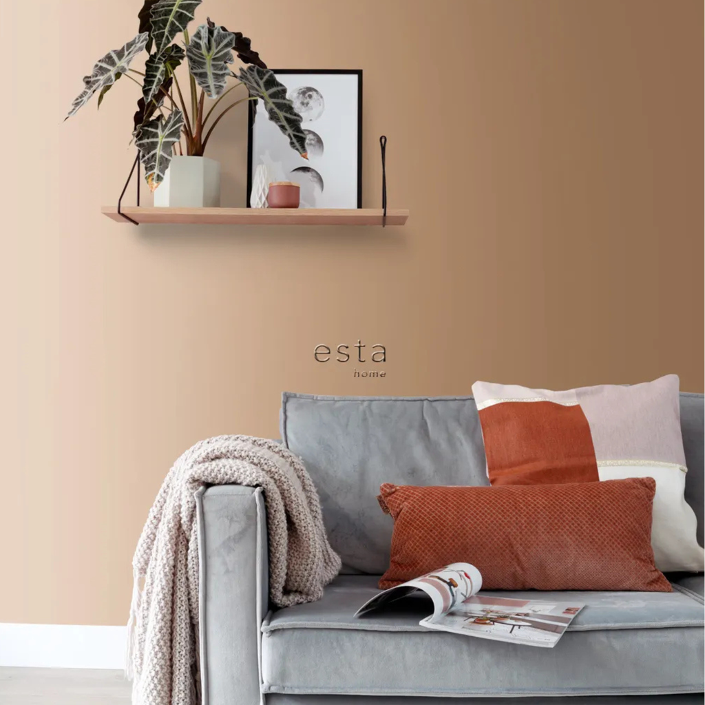 Esta home (34).png