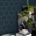 Esta home (72) (1).png