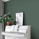 Esta home (91) (1).png