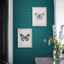 Esta home (28) (1).png