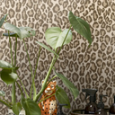 Rendersss cuadrado (31).png