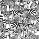 Papel tapiz zebra blanco y negro 154139155 154-139155