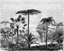 Mural XL paisaje con palmeras blanco y negro Paradise 154158952 154-158952