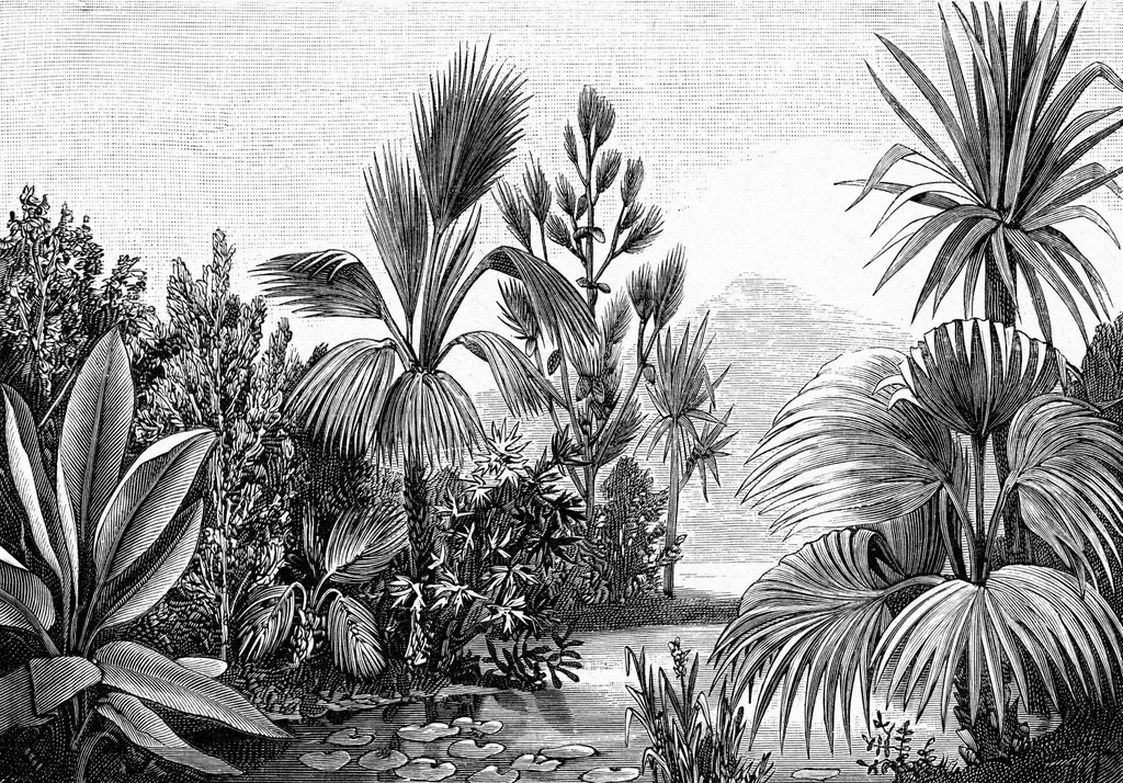 Mural XL paisaje tropical blanco y negro Paradise 154158953 154-158953