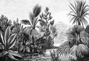 Mural XL paisaje tropical blanco y negro Paradise 154158953 154-158953