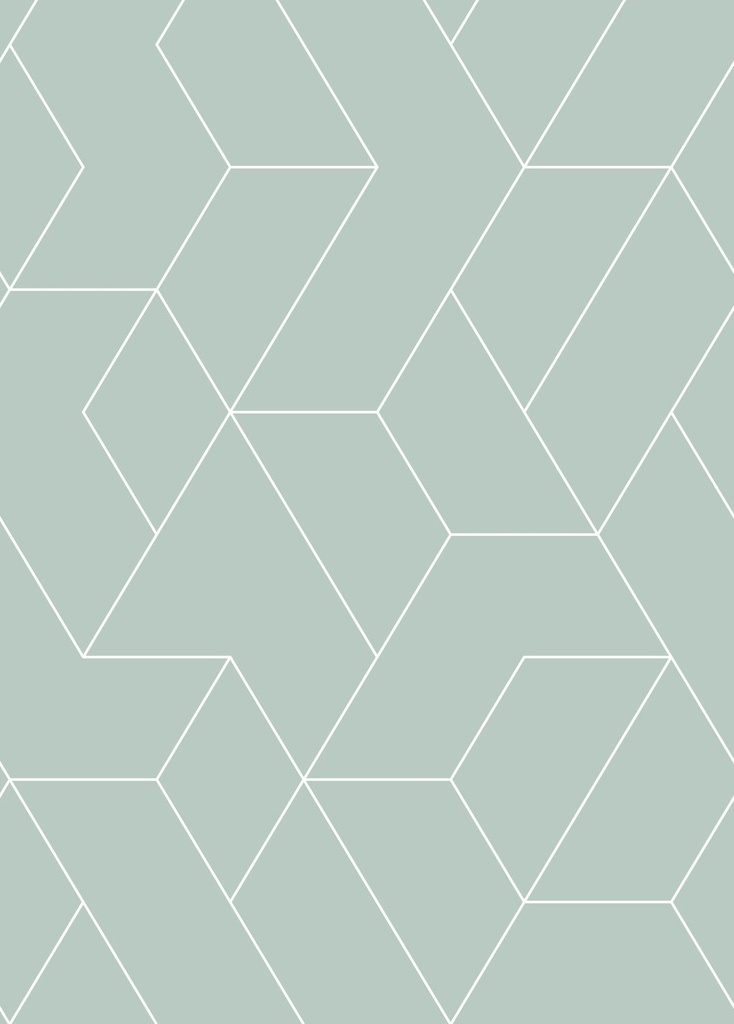 Mural XL líneas gráficas verde grisáceo claro Art Deco 156158963 156-158963