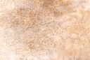 Mural Emil & Hugo Colección Moana CORAL STONE GRANDE BEIGE 4,24M X 3,00M 300948