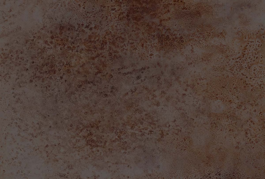 Fotomural & Hugo Colección Moana CORAL STONE GRANDE BLACK 4,24M X 3,00M 301150