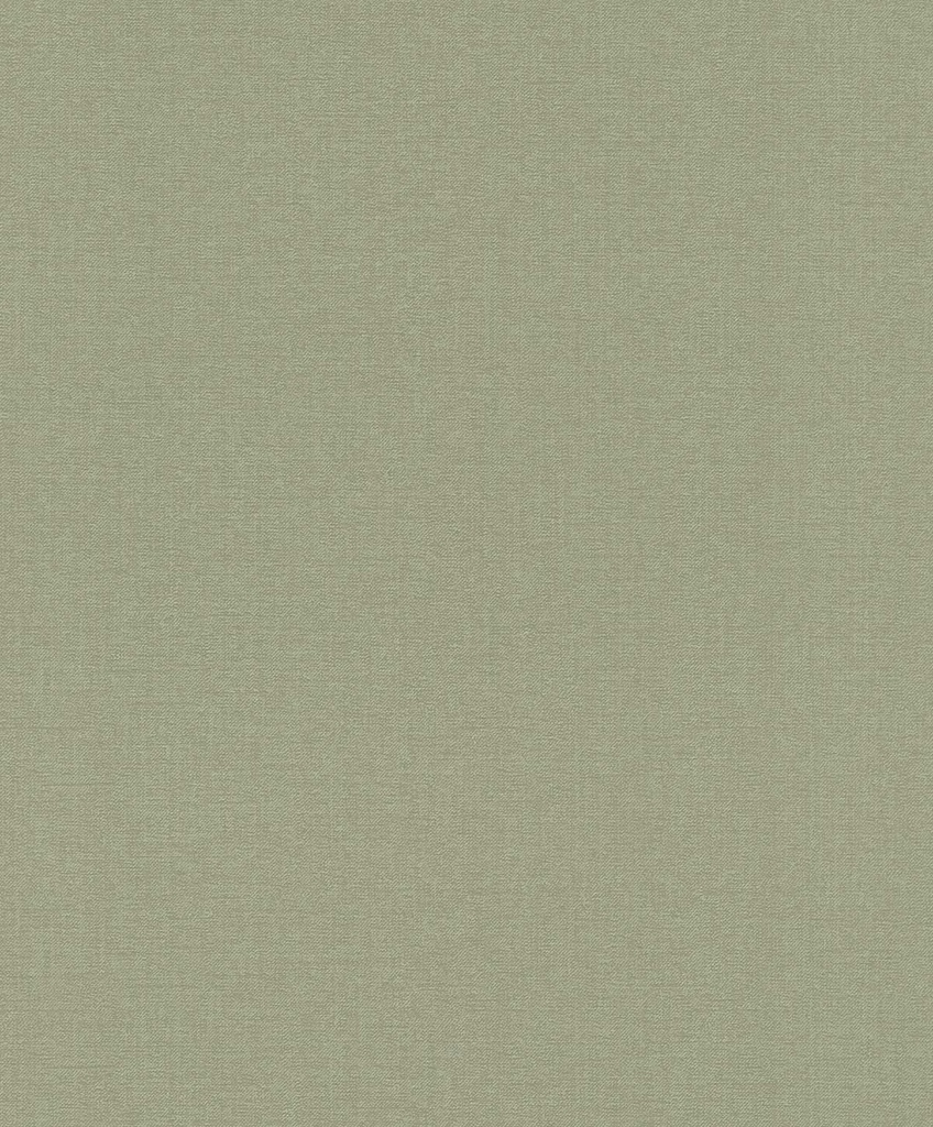 Papel Tapiz EMIL & HUGO Bloomsbury CANVAS GREEN 302256