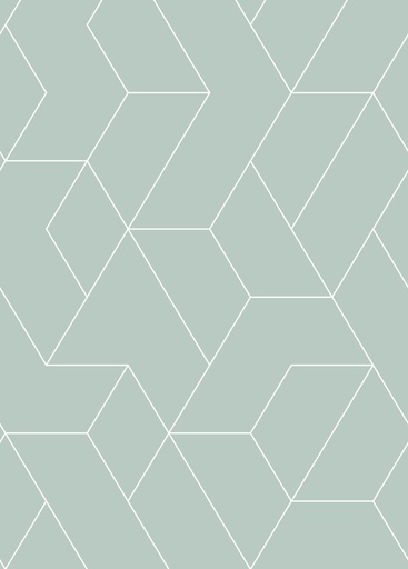 [158963] Mural XL líneas gráficas verde grisáceo claro Art Deco 156158963 156-158963