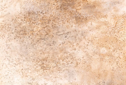 [301105] Fotomural Emil & Hugo Colección Moana CORAL STONE GRANDE BEIGE 3,71M X 2,65M 301105