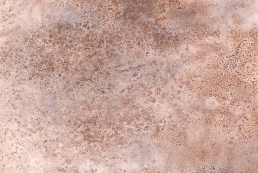 [301112] Papel Tapiz Emil & Hugo Colección Moana CORAL STONE GRANDE TAUPE 3,71M X 2,65M 301112